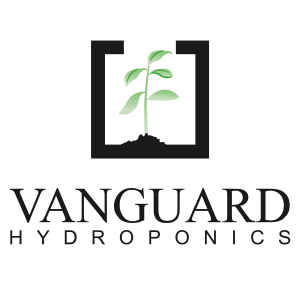 Vanguard