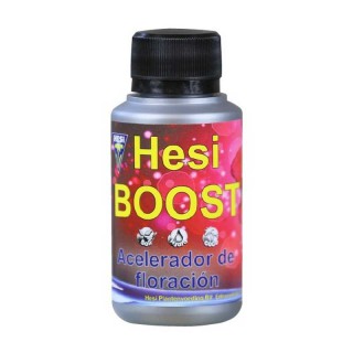 HESI BOOST HESI
