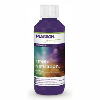 GREEN SENSATION PLAGRON