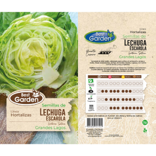 BEST GARDEN SEMILLA LECHUGA ESCAROLA 4GRS 5UDS
